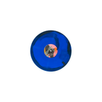 South Node limited vinyl pressing